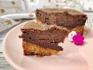 Un délicieux gâteau au chocolat digne d'une pâtisserie, sans gluten, sans lactose et sans oeuf, c'est possible ? Imaginez une croûte sablée surmontée d'un délicieux croustillant très chocolat et d'une couche chocolatée façon cheesecake... Un délice ! Dépêchez-vous de tester cette petite merveille ! par Un Sourire aux Lèvres #vegan #glutenfree #chocolat #grosgâteau